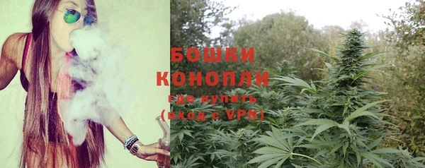 спайс Осинники