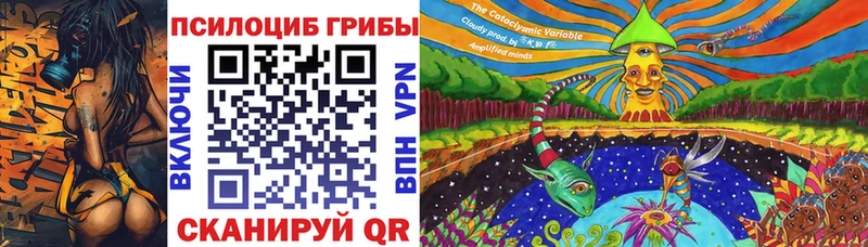 как найти   Сорочинск  Псилоцибиновые грибы GOLDEN TEACHER 
