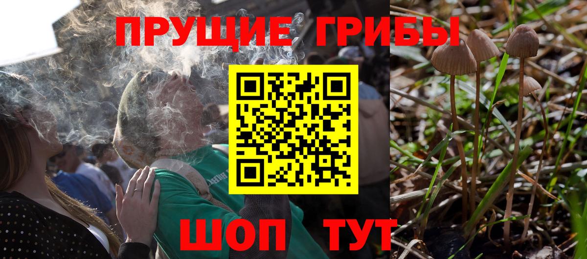 Галлюциногенные грибы GOLDEN TEACHER Сорочинск