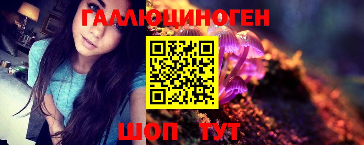 Псилоцибиновые грибы Psilocybe  Сорочинск 